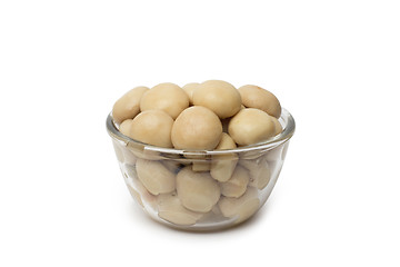 Image showing A small dish of tasty canned sliced mushrooms.