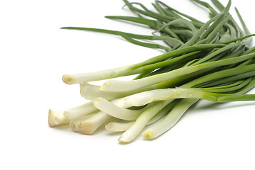 Image showing Eight ripe, beautiful spring onions on a white background.