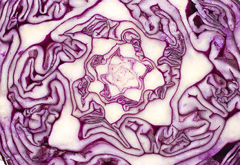 Image showing Close Up on Red Cabbage