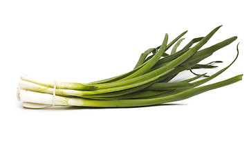 Image showing Green Onion - Natural food for health