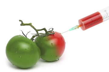 Image showing Filed syringe and green with red tomatoes