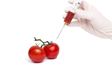 Image showing Gmo product concept: Tomato injection