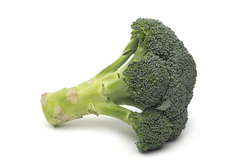 Image showing Broccoli isolated on white background