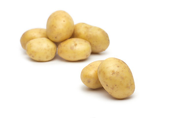 Image showing potato isolated on white background close up