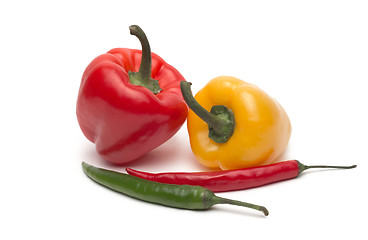 Image showing Chili and bulgarina pepper isolated on white background