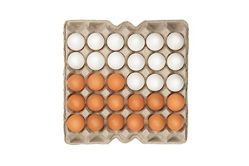 Image showing twenty four of white and brown eggs in the box