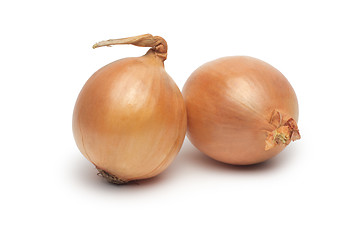 Image showing Ripe onion on a white background