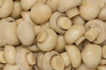Image showing Mushrooms seamless background.