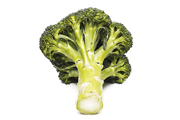 Image showing Broccoli vegetable isolated on white background