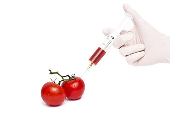 Image showing Gmo product concept: Tomato injection