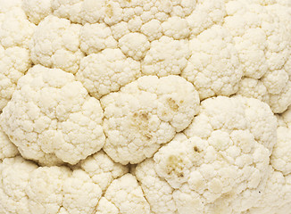 Image showing Fresh cauliflower texture