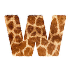 Image showing Letter from giraffe style fur alphabet. Isolated on white background. With clipping path.