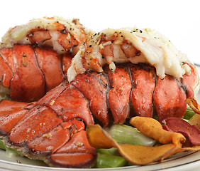 Image showing Grilled Lobster Tail  With Asparagus 