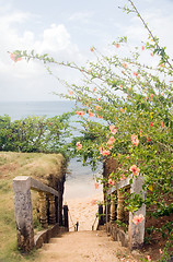 Image showing stairway entry to sandy beach  flowers Caribbean Sea Little Corn