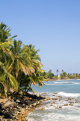 Image showing landscape seascape palm coconut trees Caribbean Sea Big Corn Isl