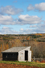 Image showing Life on the farm