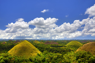 Image showing Chocolate Hills