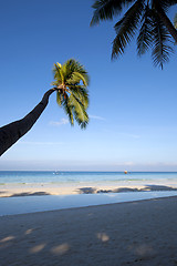 Image showing Boracay