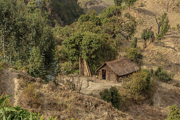 Image showing Tatched roof huts