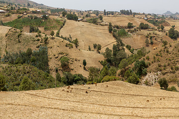 Image showing Hilly landscapes of Ethiopia