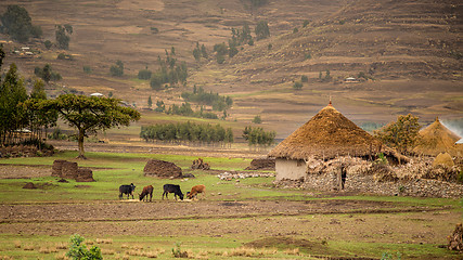 Image showing Life in the countryside