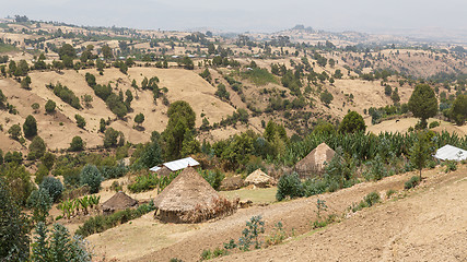 Image showing Village huts on the hills