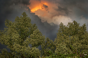 Image showing Fire in the sky