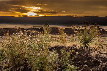 Image showing Ethiopian rural landscape