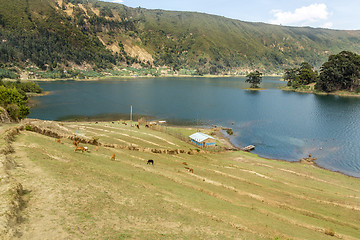 Image showing Wonchi Crater lake