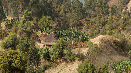 Image showing Tatched roof huts