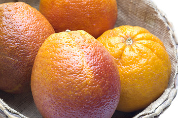 Image showing blood oranges