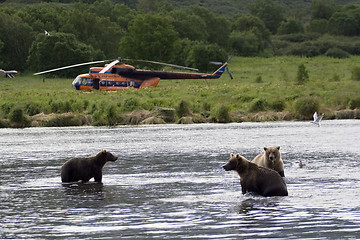 Image showing Kamchatka