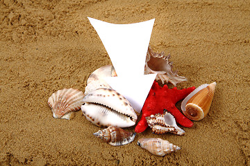 Image showing sea shells, paper and yellow sand