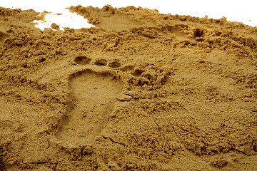 Image showing foot print