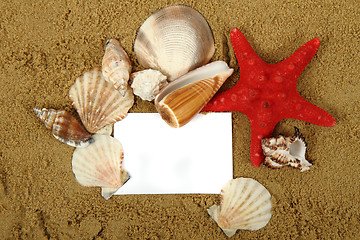 Image showing shells, sand, white paper
