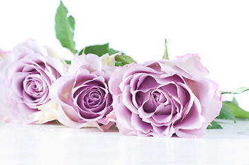 Image showing Pastel shade roses