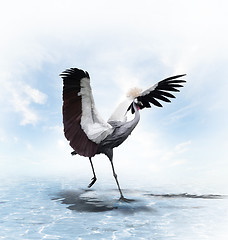 Image showing Crowned Crane