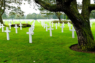 Image showing American Cemetery at Normandy