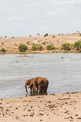 Image showing Safari in Kenya