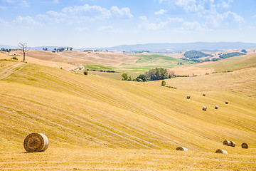 Image showing Country in Tuscany