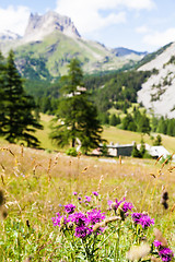 Image showing Italian Alps