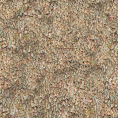 Image showing Seamless Texture. Bark.