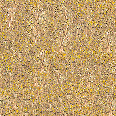 Image showing Seamless Texture of Bark.