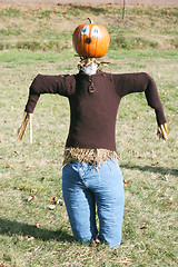 Image showing Pumpkin person