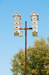 Image showing Group of bird houses on a pole