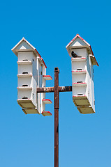 Image showing Multiple white bird houses