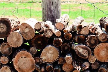 Image showing Pile of firewood