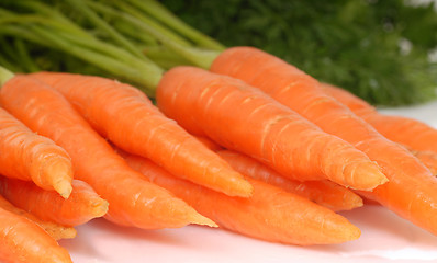 Image showing Freshly picked organic carrots