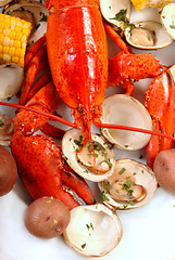 Image showing Delicious boiled lobster dinner