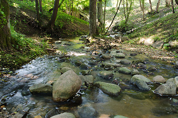 Image showing river bottom with large stone in forest 